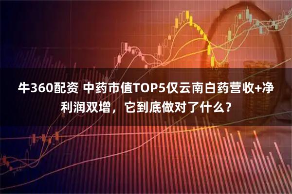 牛360配资 中药市值TOP5仅云南白药营收+净利润双增，它到底做对了什么？