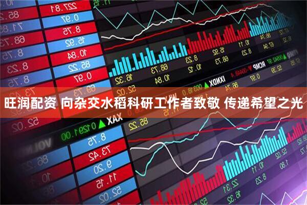 旺润配资 向杂交水稻科研工作者致敬 传递希望之光