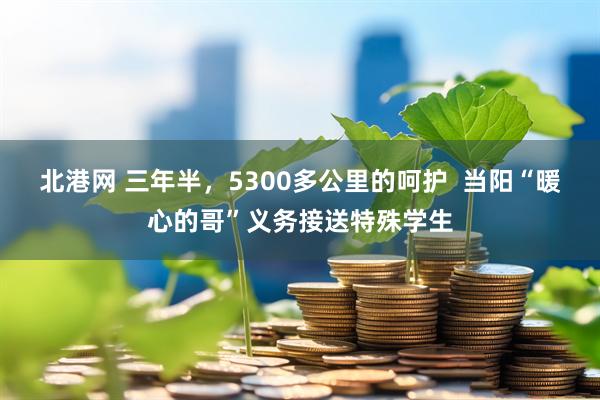 北港网 三年半，5300多公里的呵护  当阳“暖心的哥”义务接送特殊学生