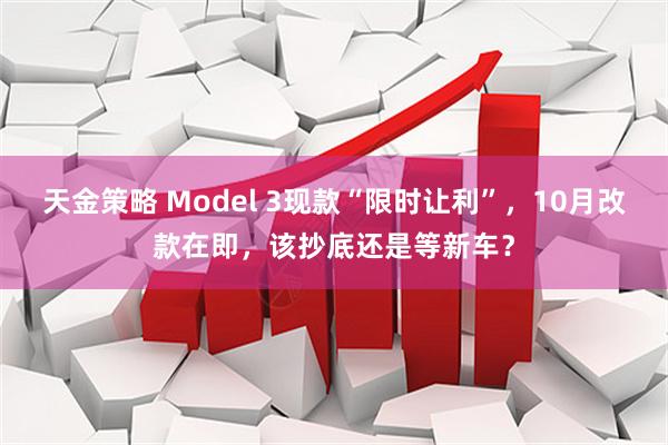 天金策略 Model 3现款“限时让利”，10月改款在即，该抄底还是等新车？