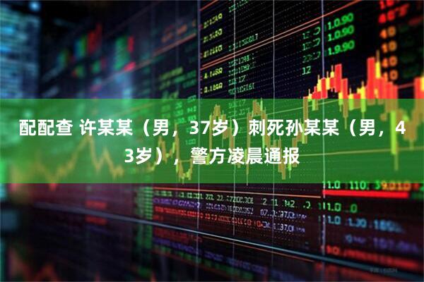 配配查 许某某（男，37岁）刺死孙某某（男，43岁），警方凌晨通报