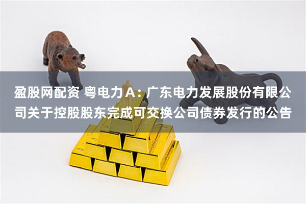 盈股网配资 粤电力A: 广东电力发展股份有限公司关于控股股东完成可交换公司债券发行的公告