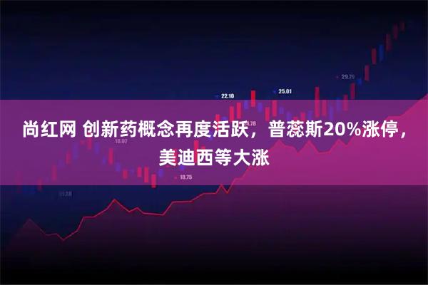 尚红网 创新药概念再度活跃,普蕊斯20%涨停,美迪西等大涨
