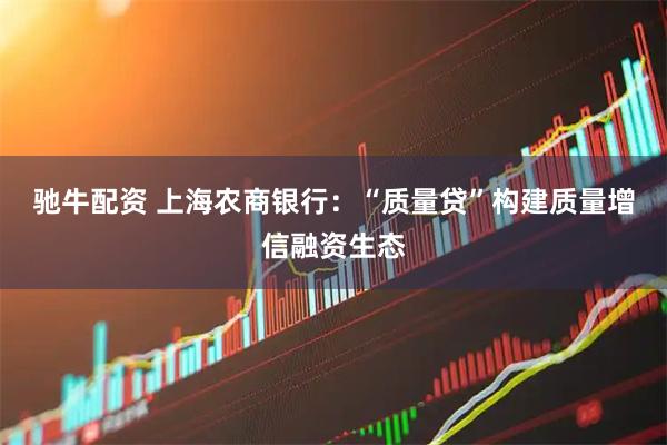 驰牛配资 上海农商银行：“质量贷”构建质量增信融资生态